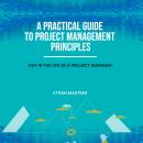 A Practical Guide to Project Management Principles Audiobook
