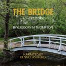 The Bridge Audiobook