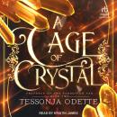 A Cage of Crystal Audiobook
