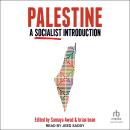 Palestine: A Socialist Introduction Audiobook