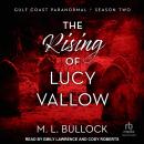 The Rising of Lucy Vallow Audiobook