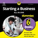 Starting A Business All-in-One For Dummies Audiobook