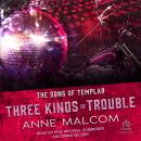 Three Kinds of Trouble Audiobook
