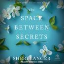 The Space Between Secrets Audiobook
