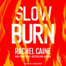 Slow Burn Audiobook