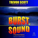 Burst of Sound Audiobook
