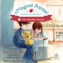 The Missing Magic Audiobook