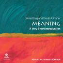 Meaning: A Very Short Introduction Audiobook