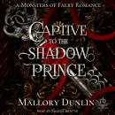 Captive To The Shadow Prince Audiobook