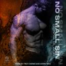 No Small Sin Audiobook