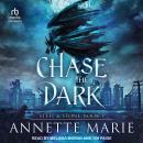 Chase the Dark Audiobook