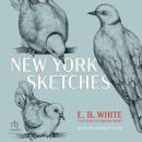 New York Sketches Audiobook