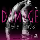 Damage Audiobook