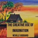 The Creative Use of Imagination Audiobook