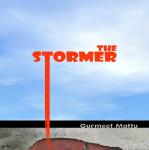 The Stormer Audiobook