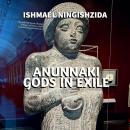 Anunnaki Gods in Exile Audiobook