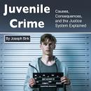 Juvenile Crime: Causes, Consequences, and the Justice System Explained Audiobook