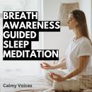 Breath Awareness Guided Sleep Meditation Audiobook