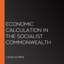 Economic calculation in the socialist commonwealth Audiobook