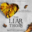 Thorn: The Liar Audiobook