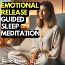 Emotional Release Guided Sleep Meditation Audiobook