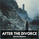After the Divorce (Unabridged) Audiobook