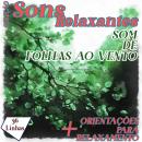 [Portuguese] - Coleção Sons Relaxantes - sons de folhas ao vento Audiobook