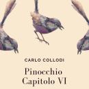 [Italian] - Pinocchio - Capitolo VI Audiobook