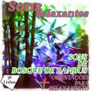 [Portuguese] - Coleção Sons Relaxantes - sons de bosque de bambus Audiobook