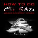 How To Do Chi Sao: Wing Chun Sticky Hands Audiobook