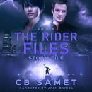 Storm File Audiobook