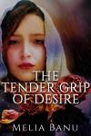 Seduction or The Tender Grip of Desire Audiobook