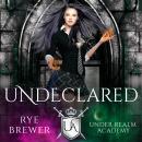 Undeclared Audiobook
