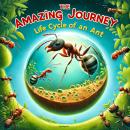 The Amazing Journey: Life Cycle of an Ant Audiobook