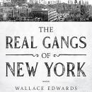The Real Gangs of New York Audiobook