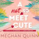 A Not So Meet Cute Audiobook