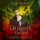 Dragon Guard Audiobook