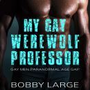 My Gay Werewolf Professor: Gay Men Paranormal Age Gap Audiobook