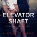 Elevator Shaft: Threesomes Voyeur Sex (Bisexual Erotica) Audiobook