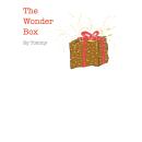 The Wonder Box Audiobook