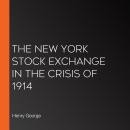 The New York Stock Exchange in the Crisis of 1914 Audiobook