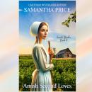Amish Second Loves Audiobook