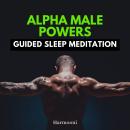 Alpha Male Powers Guided Sleep Meditation Audiobook