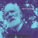 [Swedish] - Det snöar: Klassiska Dikter Audiobook