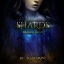 Shards Audiobook