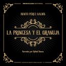 [Spanish] - La princesa y el granuja Audiobook