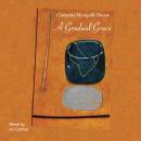 A Gradual Grace Audiobook