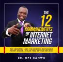 Cover of 12 commandment of internet marketing: The Unwritten Laws For Achieving Sustainable Profits Online... Violate Them At Your Own Risk!