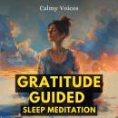 Gratitude Guided Sleep Meditation Audiobook