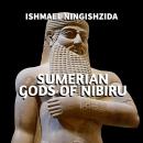 Sumerian Gods of Nibiru Audiobook